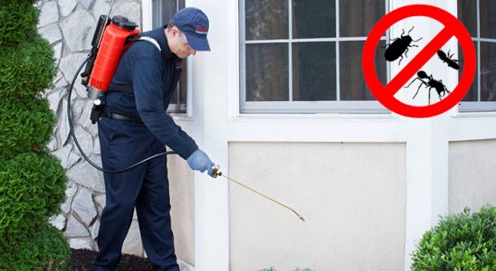 Darende Bit İlaçlama böcek ilaçlama ve haşere kontrolü — ilaclama-tr.com